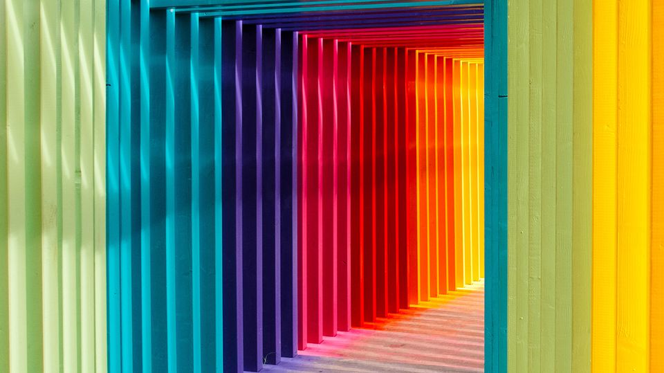 7 Inspiring Website Color Schemes and Trends for 2022